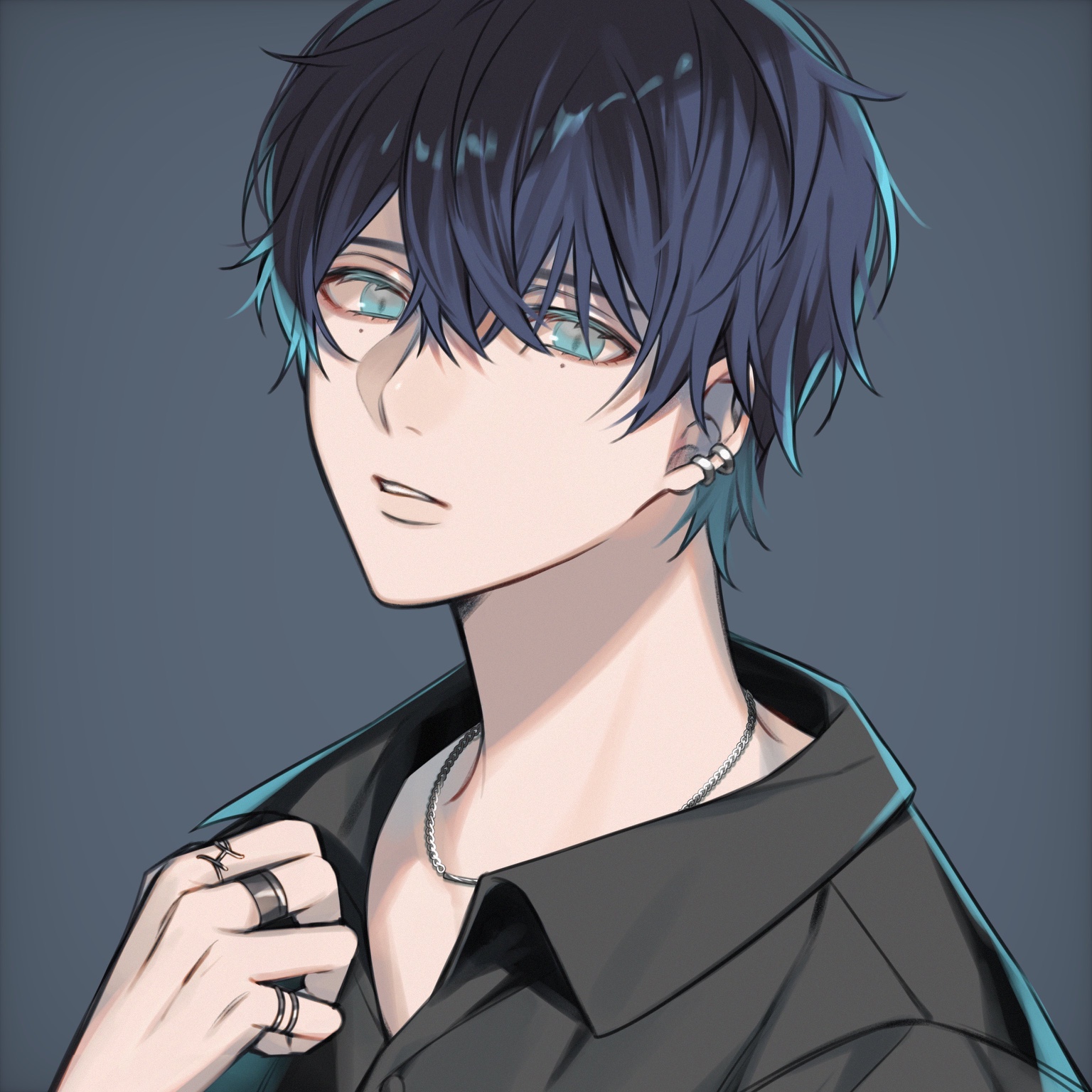 Hisαme portrait
